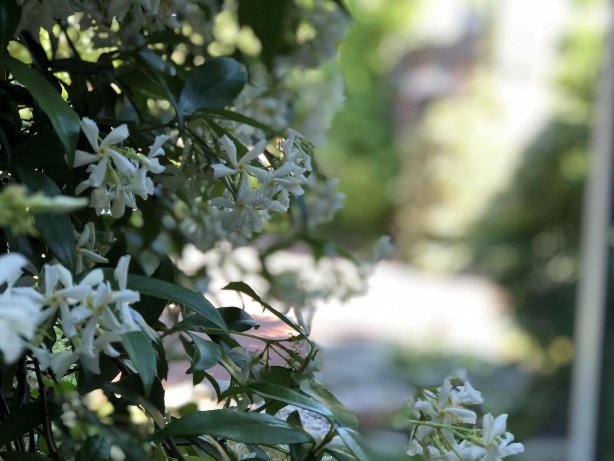 Aux Herbes Hautes Fleurbaix Экстерьер фото